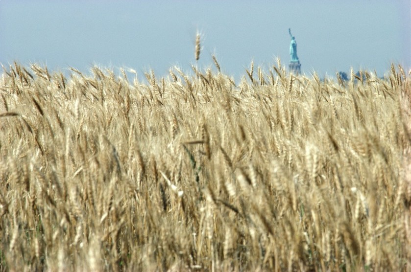 agnes-dean-slide-MHIT-jumbo